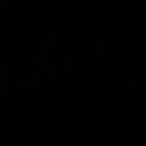 Meet your Posher, Mady